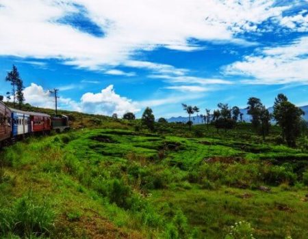 nuwara_eliya nuwara_eliya