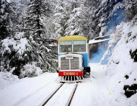 shimla_1427458343u60 shimla_1427458343u60